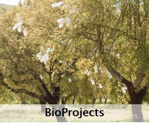 BioProjects
