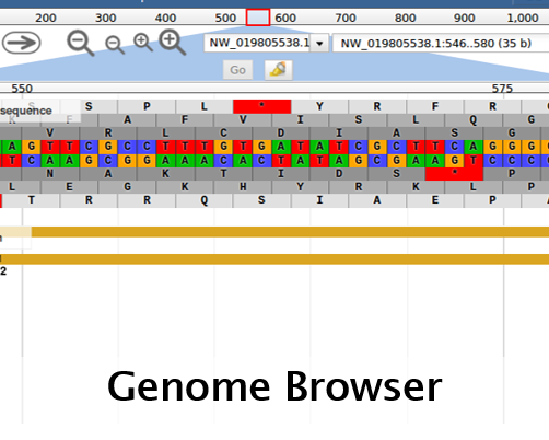 Genome Browser