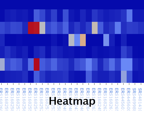 Heatmap